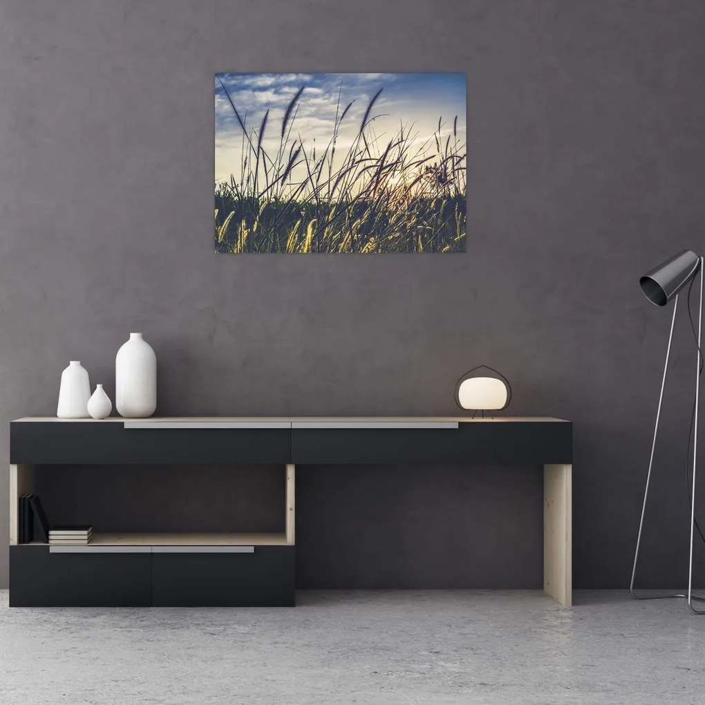 Obraz kwiatów łąkowych (70x50 cm)