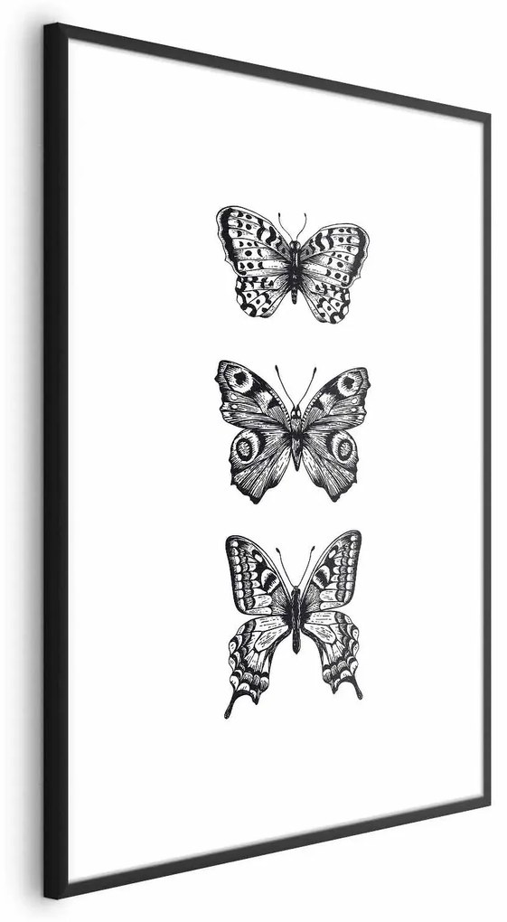 Plakat Trzy motyle 21x30 cm z ramą czarną z marginesem ARTGEIST B