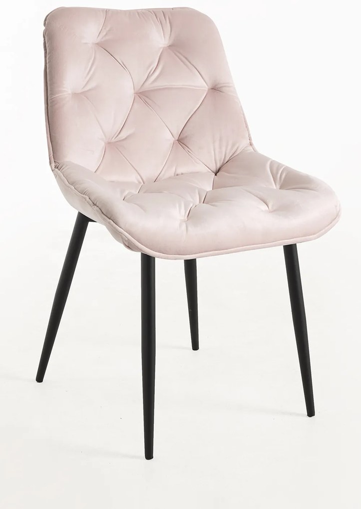 Krzeso Miska Aksamitne