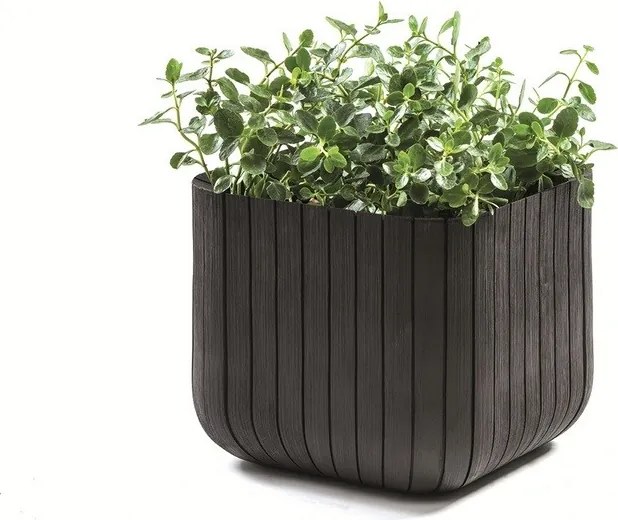 Doniczka Keter Cube M 50,5 l, antracytowa