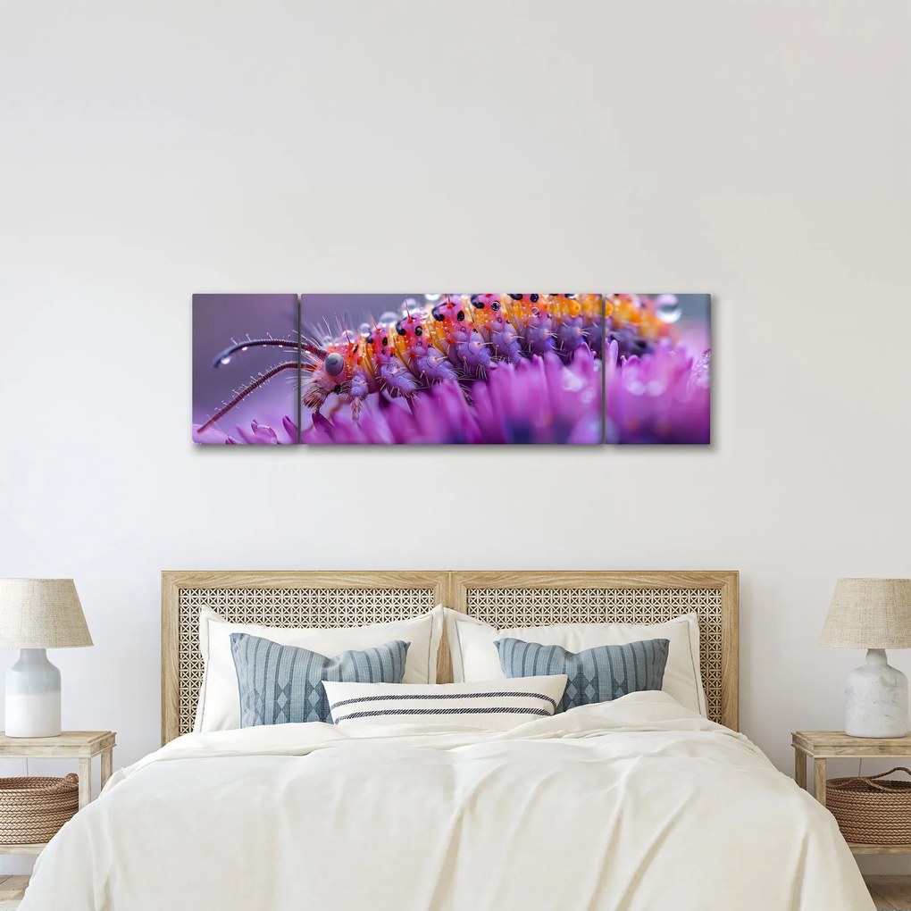 Obraz - Caterpillar (170x50 cm)