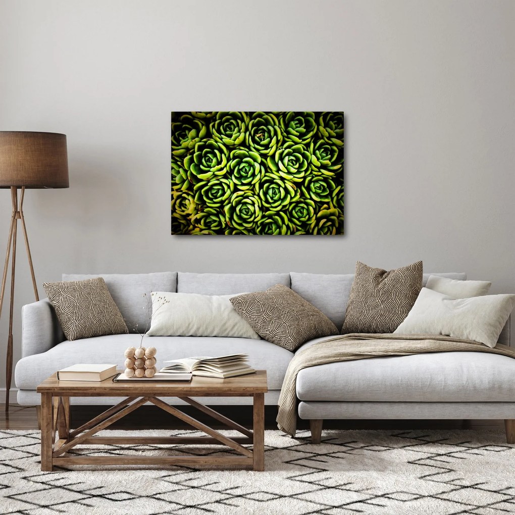 Obraz bez grzywki (70x50 cm)
