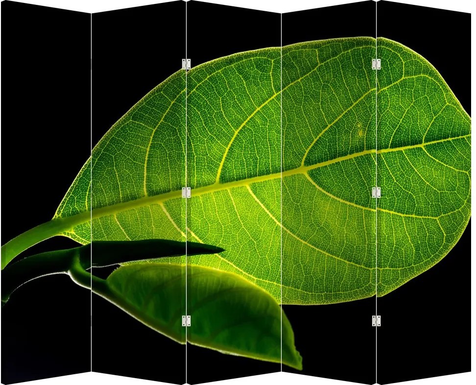 Parawan - Zielony liść (210x170 cm)