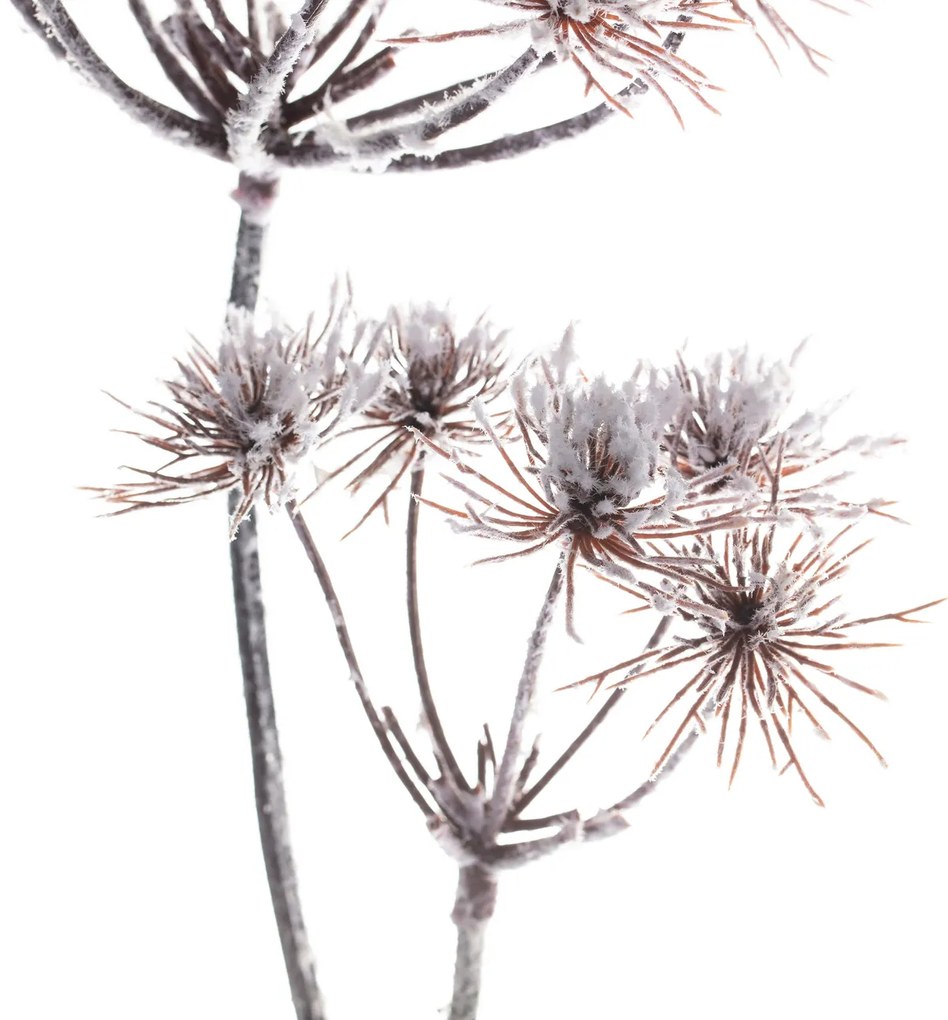 Gałązka Thistle white 100cm