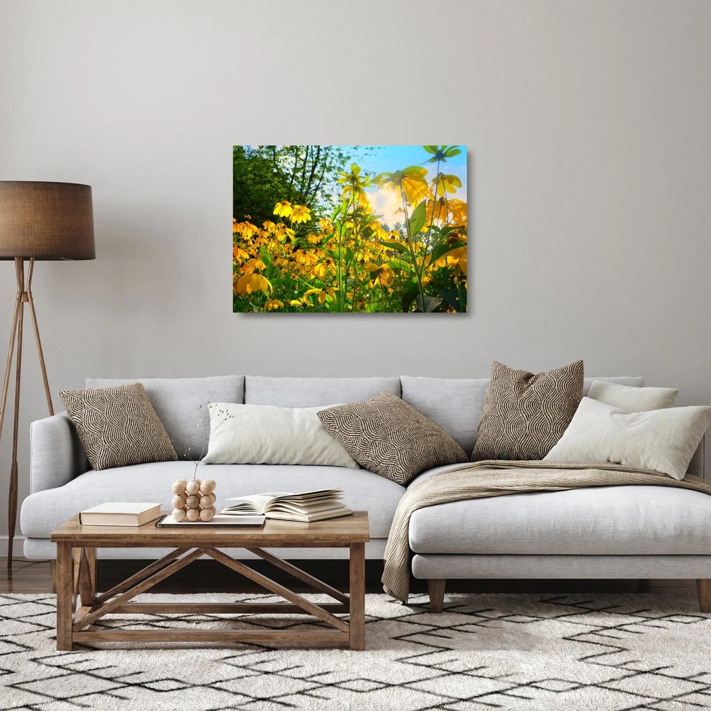 Obraz na szkle żółtych kwiatów (70x50 cm)