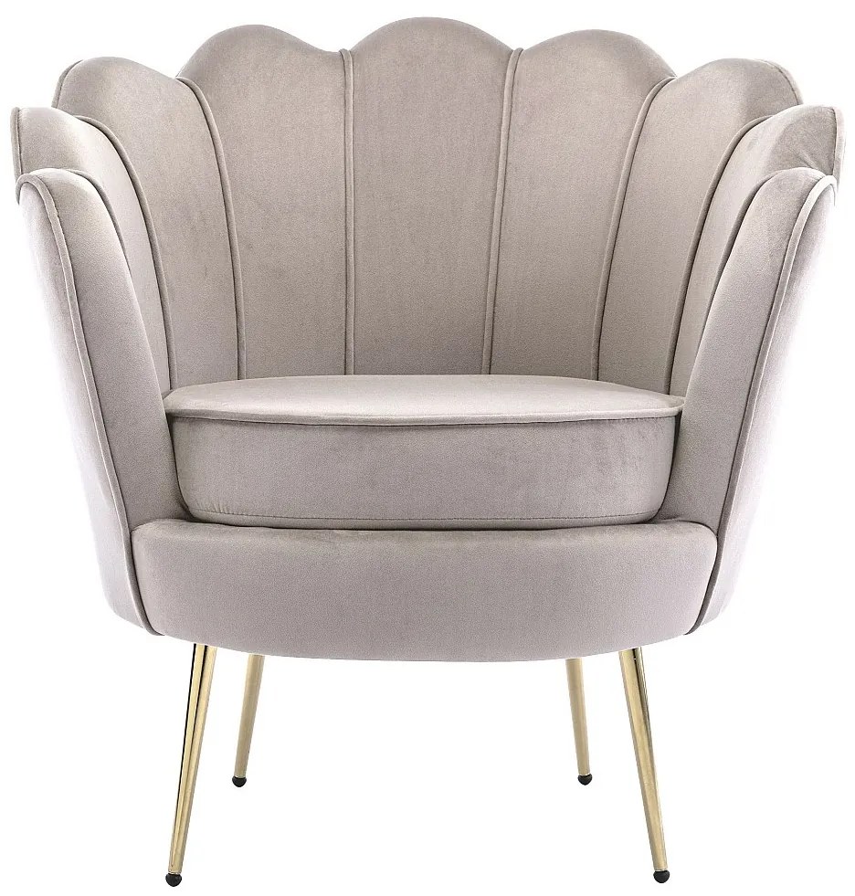 Fotel z welurową powłoką taupe DANDELION marki Pascal Morabito