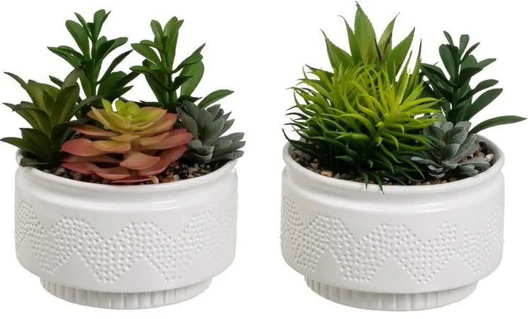 Sztuczne rośliny zestaw 2 szt. (wysokość 19 cm) Cactus – Casa Selección