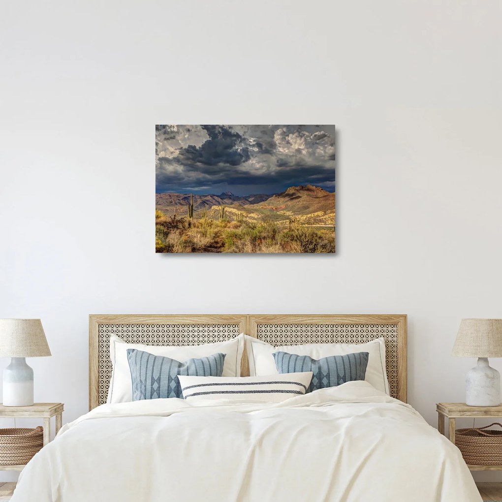 Obraz na szkle - kaktusy w przyrodzie (70x50 cm)