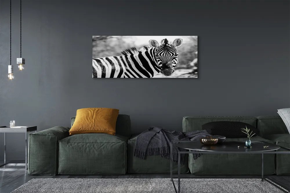 Obraz na płótnie Retro zebra