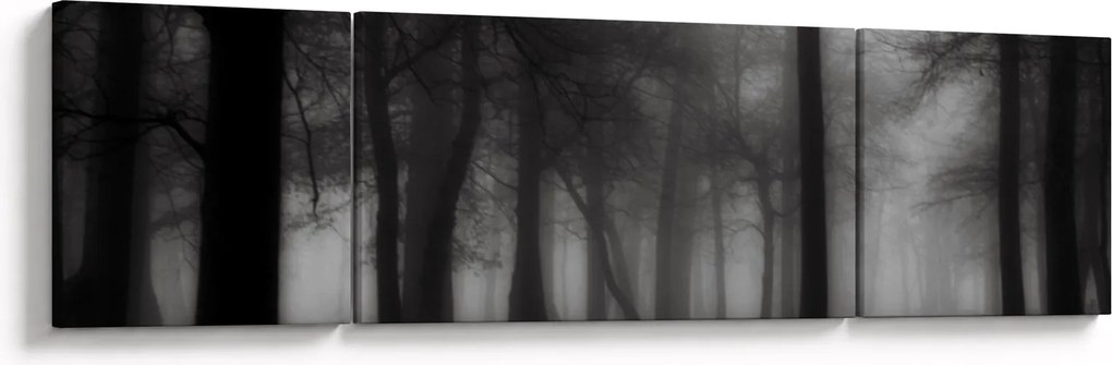 Obraz - Las we mgle (170x50 cm)
