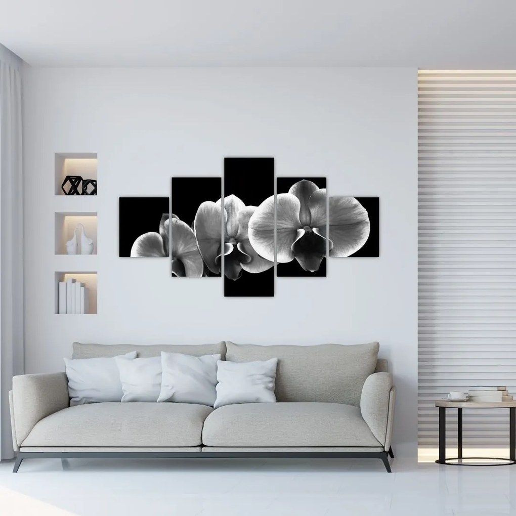 Obraz kwiatu orchidei (125x70 cm)