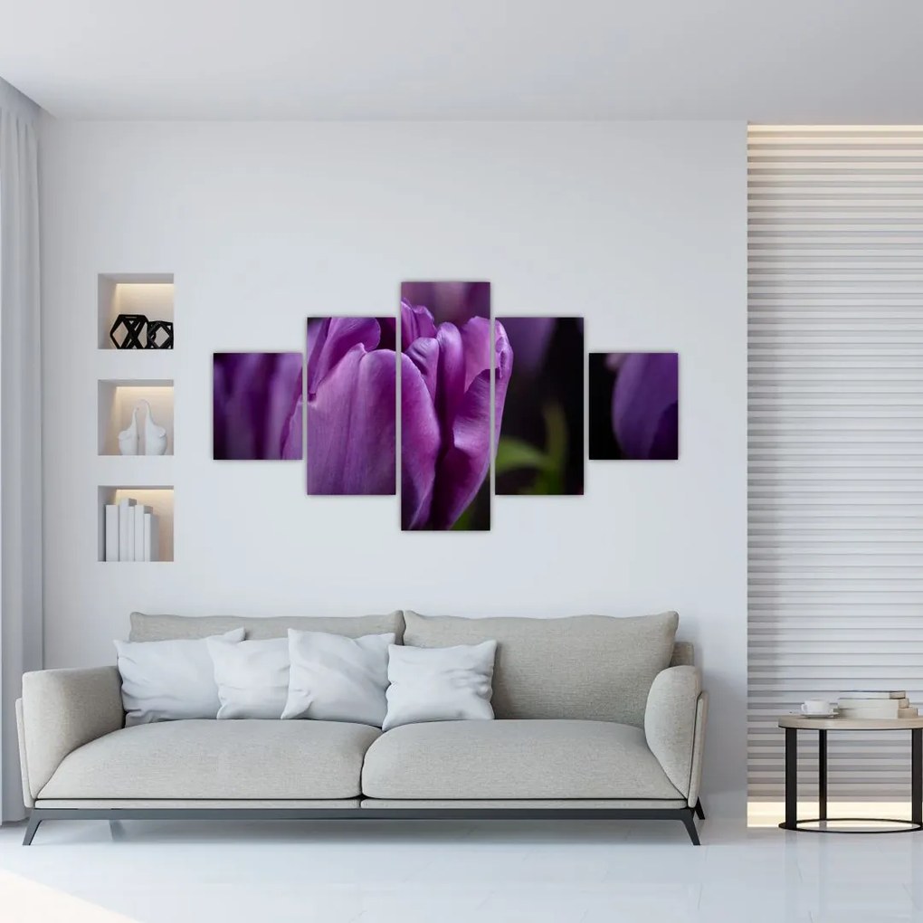 Obraz kwiatów tulipanów (125x70 cm)