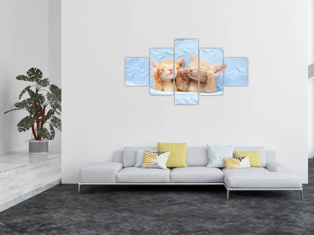 Obraz - Śpiące kocięta (125x70 cm)
