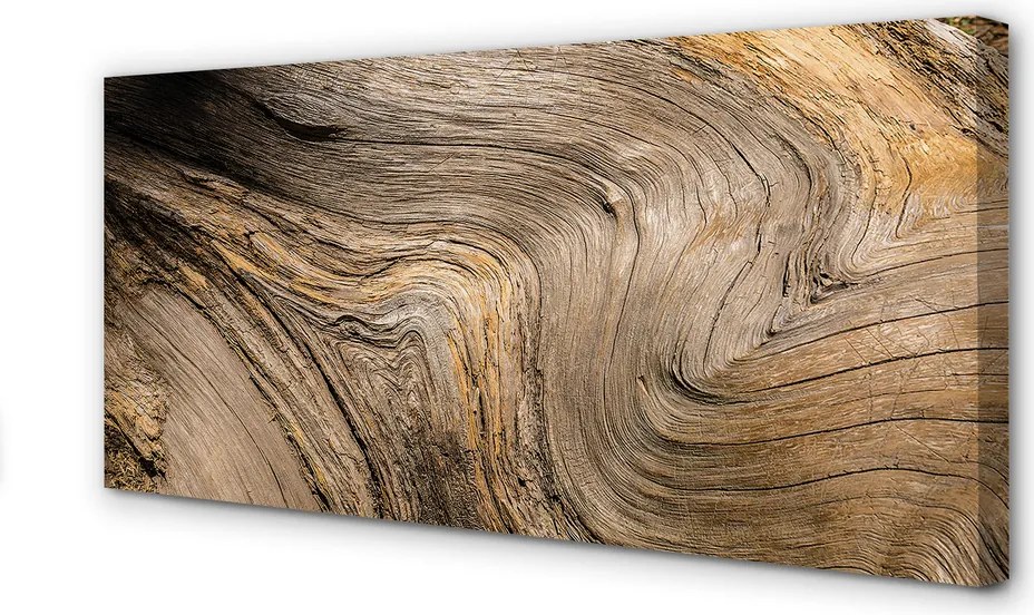 Fotoobraz na płótnie Głęboka Struktura Drewna