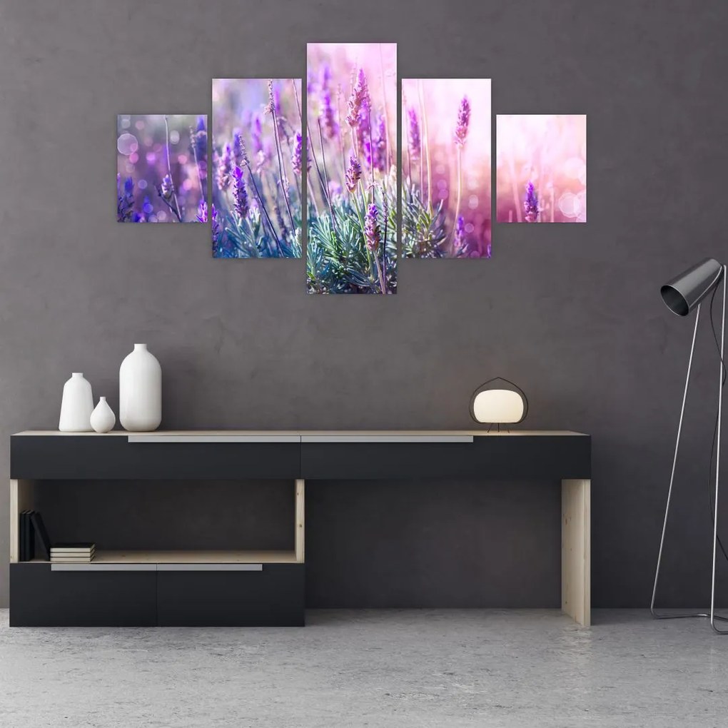 Obraz - Lawenda w słońcu (125x70 cm)