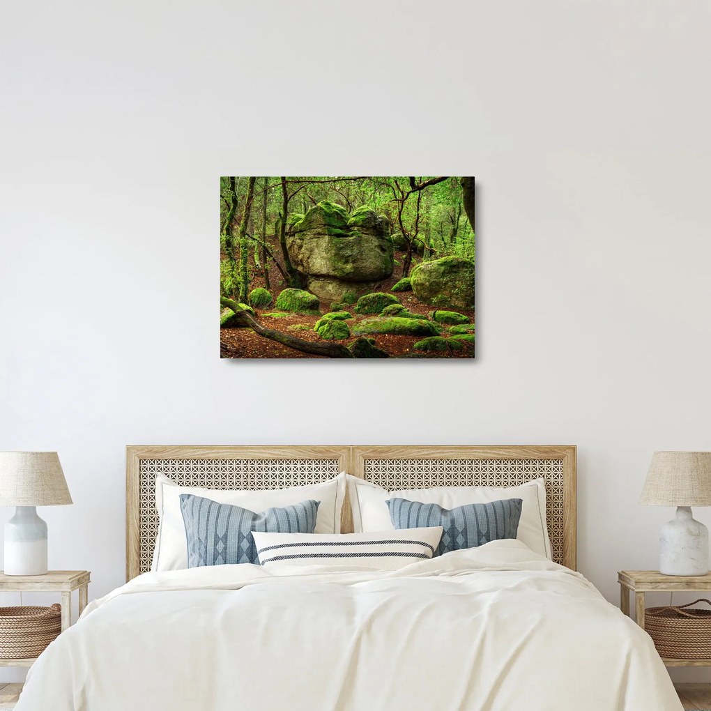 Obraz na szkle - magiczny las (70x50 cm)
