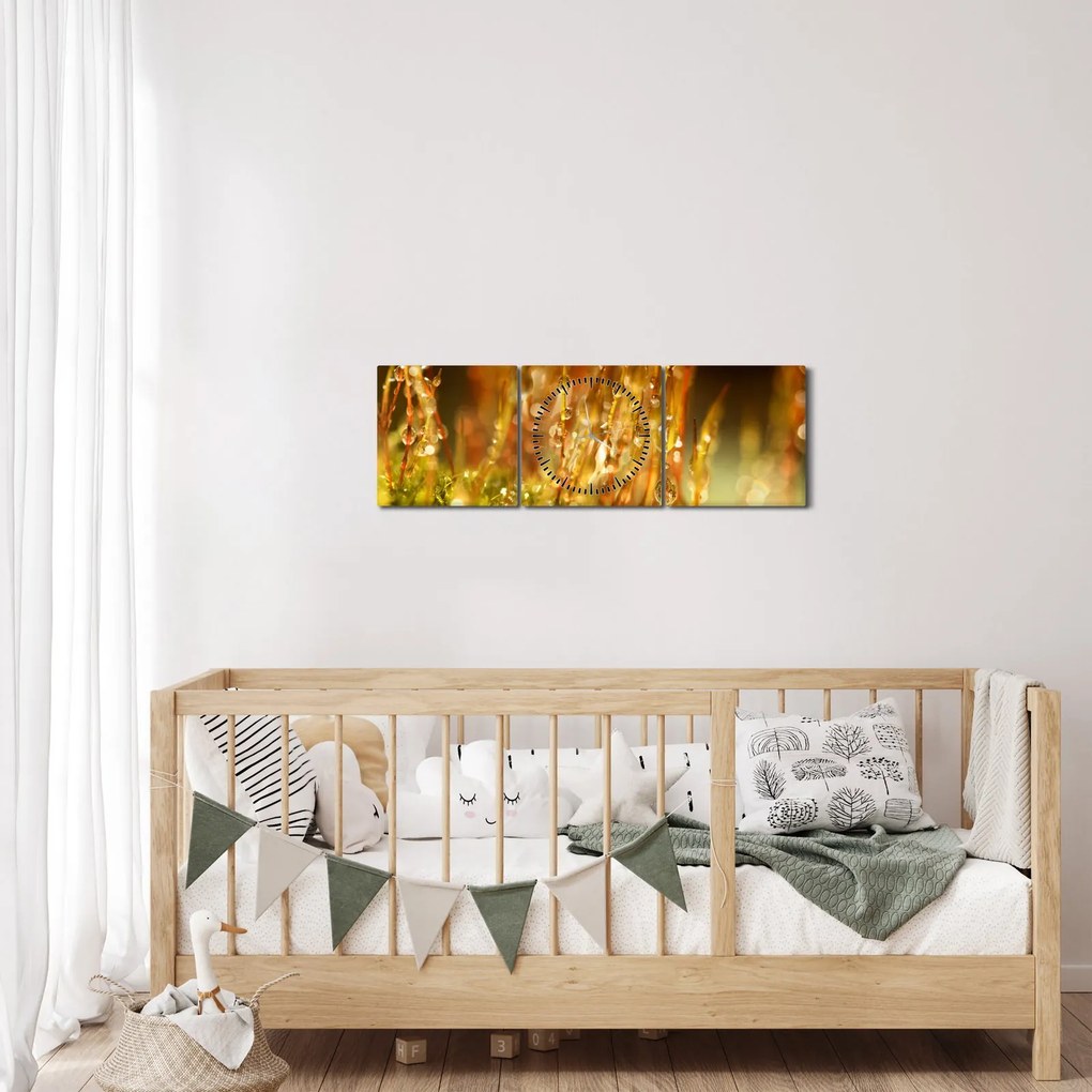 Obraz - Szczegół rosy (z zegarem) (90x30 cm)