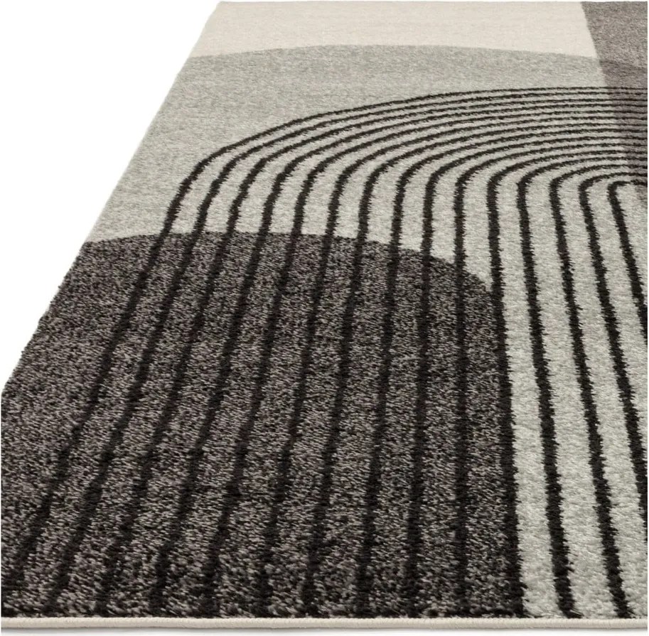Dywan szary 230x160 cm Muse - Asiatic Carpets