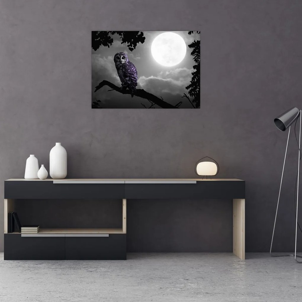 Obraz - Nocna sowa, fioletowa sowa (70x50 cm)