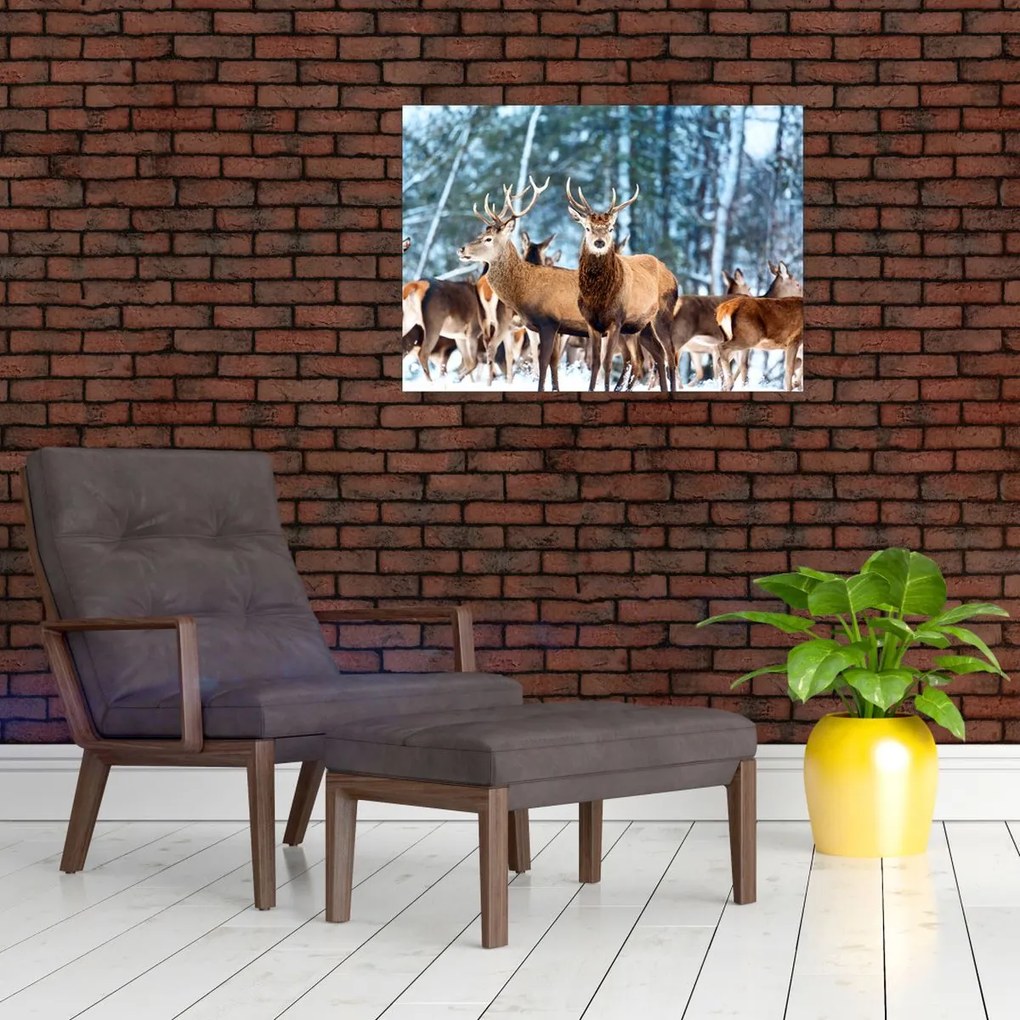 Obraz - Stado jeleni (70x50 cm)