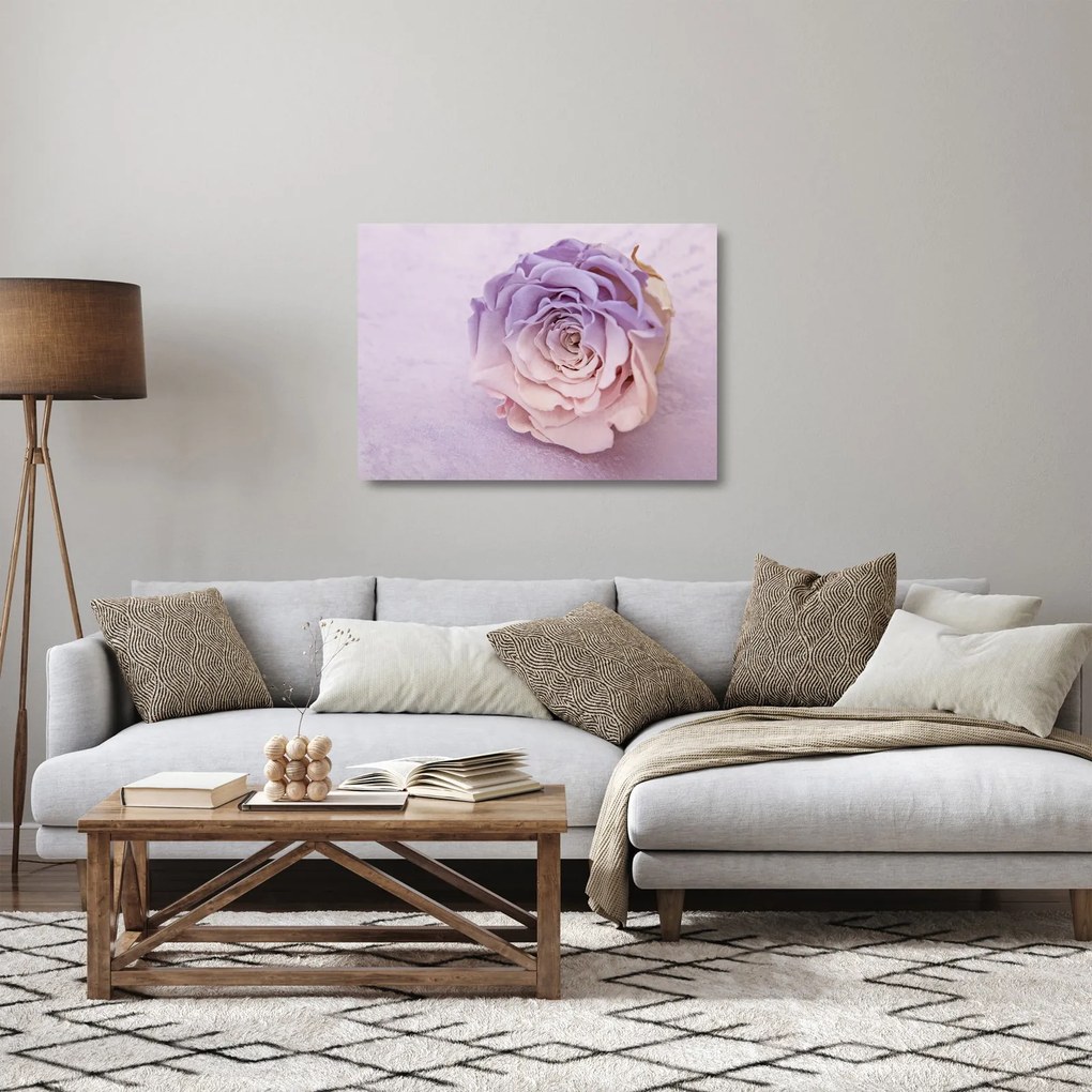 Obraz na szkle szczegółu kwiatu róży (70x50 cm)