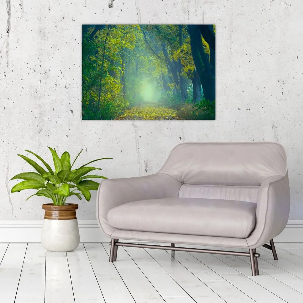 Obraz na szkle - droga wysadzana drzewami (70x50 cm)
