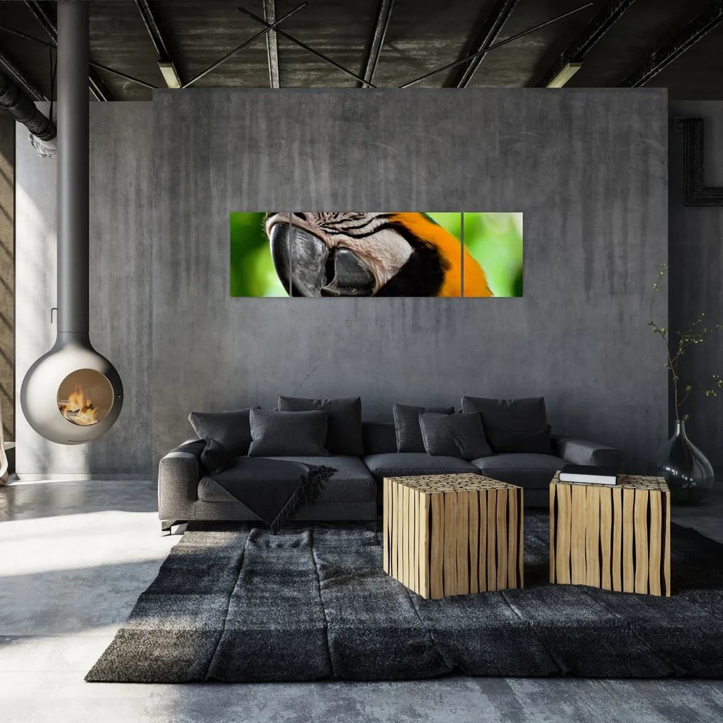 Obraz papugi (170x50 cm)