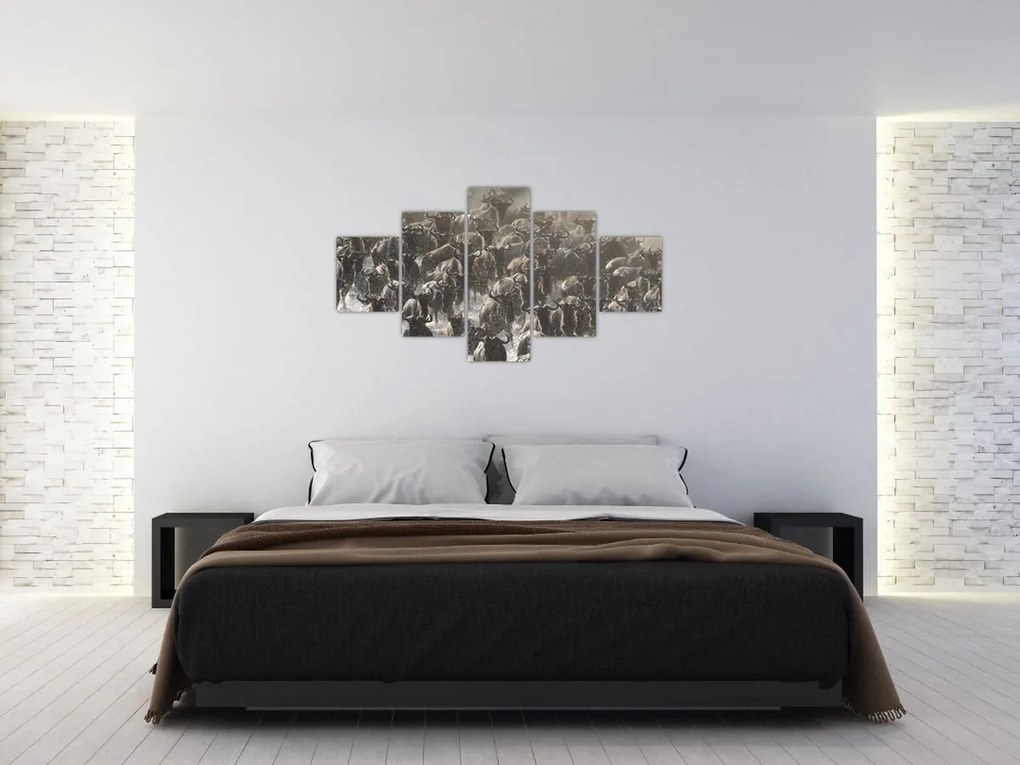 Obraz - Stado antylop gnu (125x70 cm)