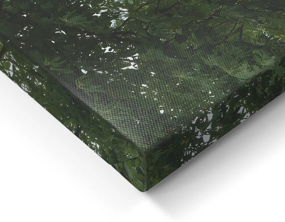 Obraz 60x80 cm Garden Gate – Styler