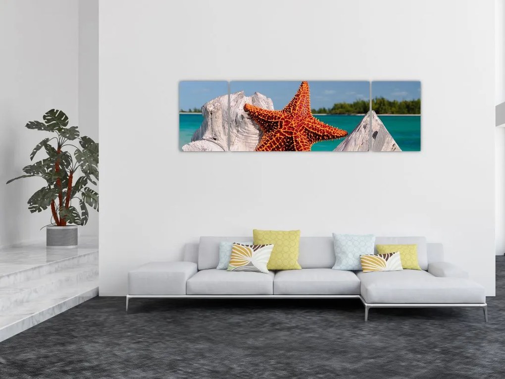 Obraz rozgwiazdy (170x50 cm)