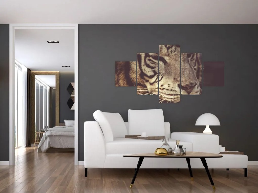 Obraz tygrysa (125x70 cm)