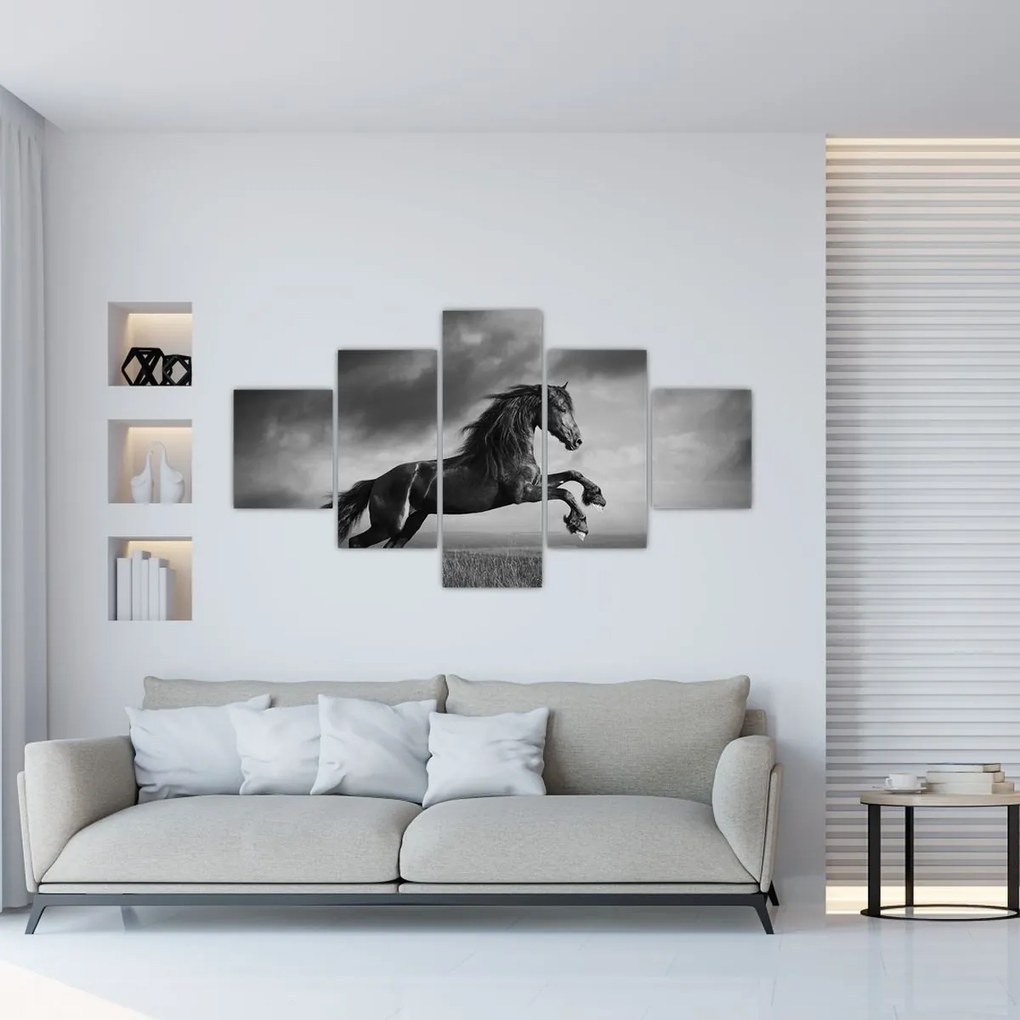 Obraz - Czarny i biały koń (125x70 cm)