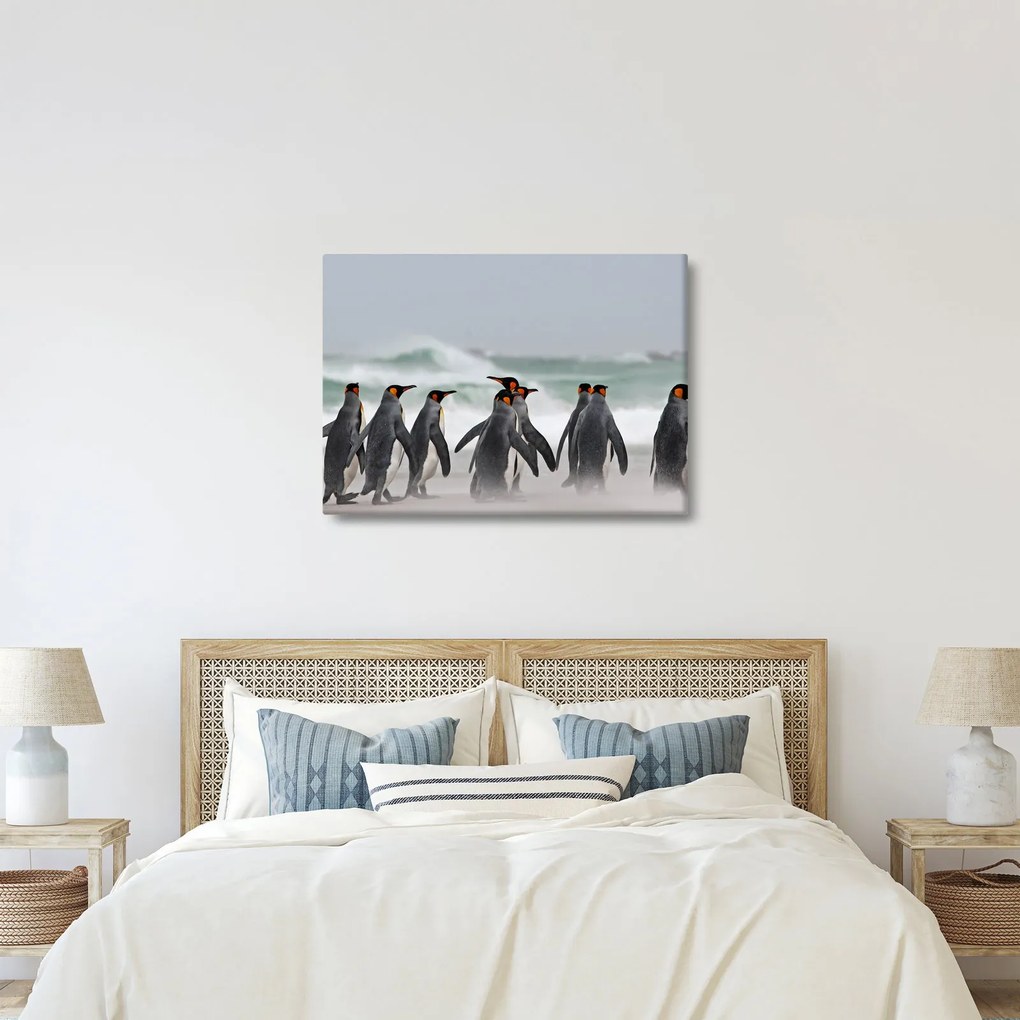 Obraz pingwinów nad oceanem (70x50 cm)