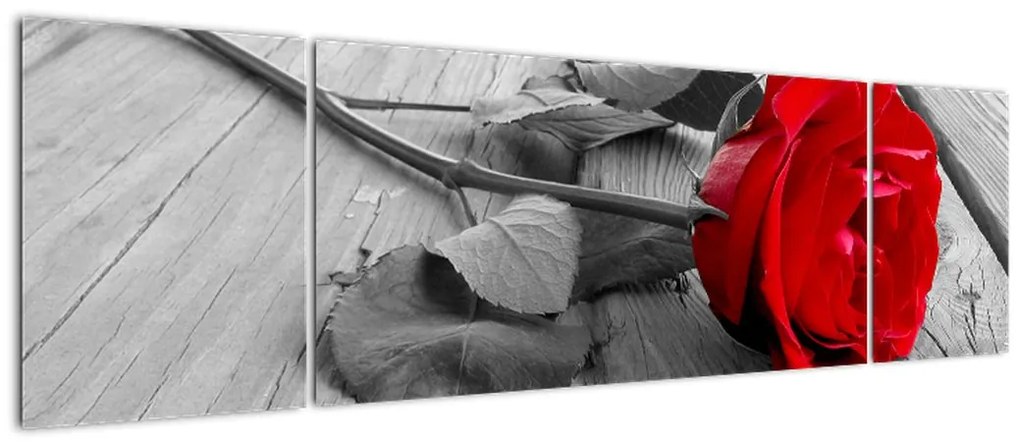 Obraz czerwonej róży (170x50 cm)