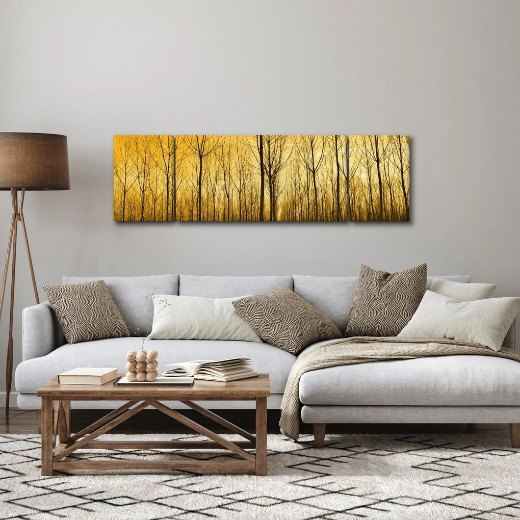 Obraz - Plantacja drzew (170x50 cm)