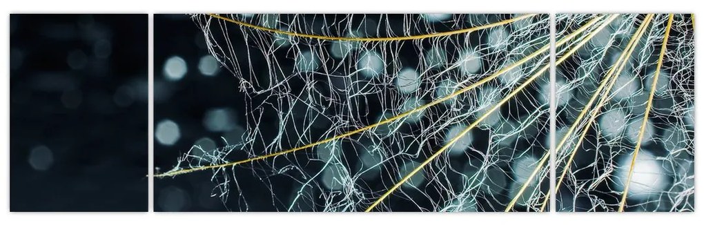 Obraz - Kwiat z pajęczyną (170x50 cm)