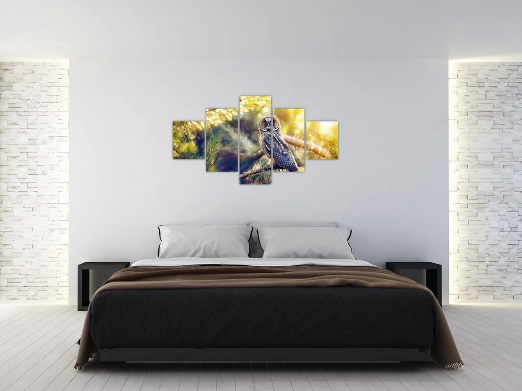 Obraz sowy na drzewie (125x70 cm)