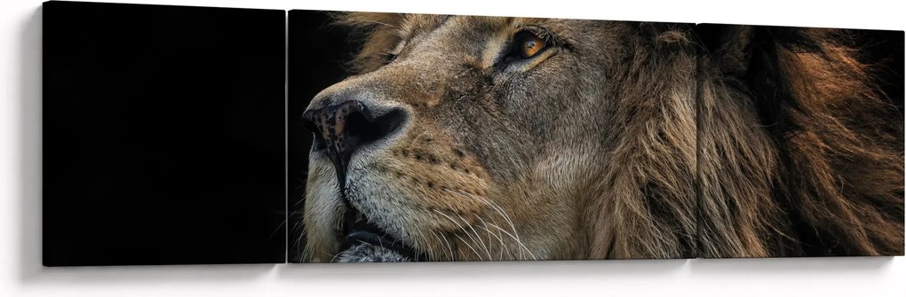 Obraz - Majestatyczny lew (170x50 cm)