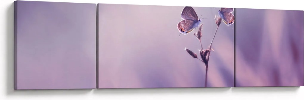 Obraz - Fioletowe motyle (170x50 cm)