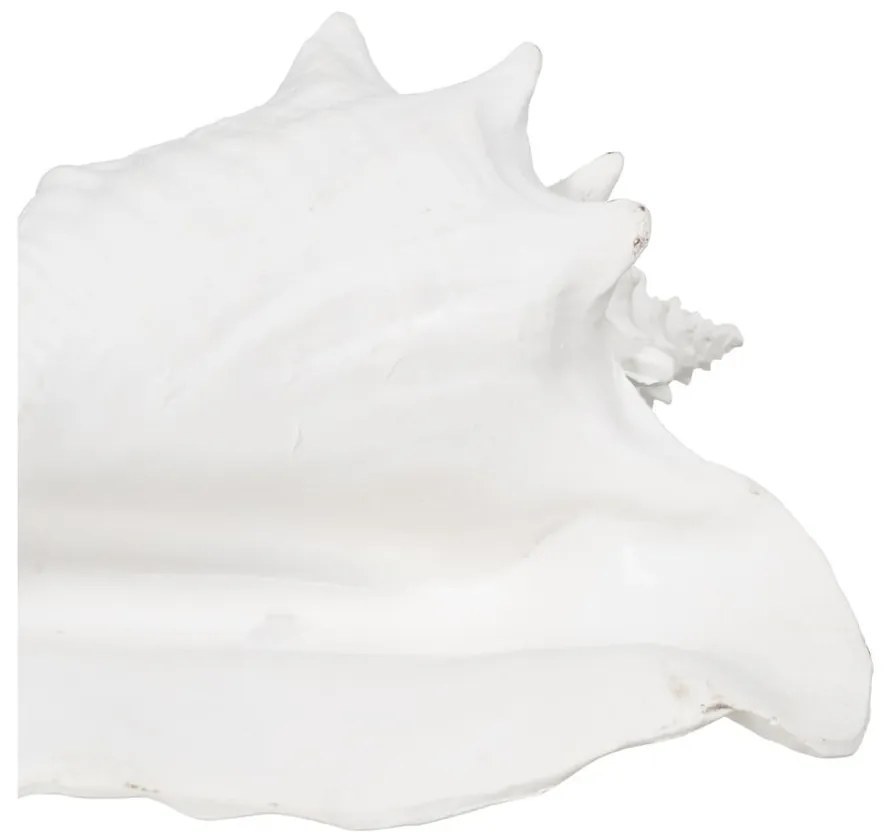 Figurka z żywicy polimerowej (wysokość 13 cm) Seashell – Ixia
