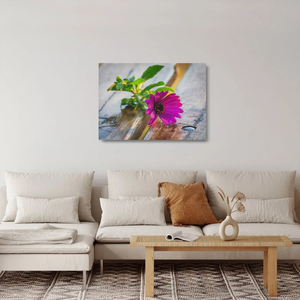 Obraz na szkle - cięty kwiat (70x50 cm)