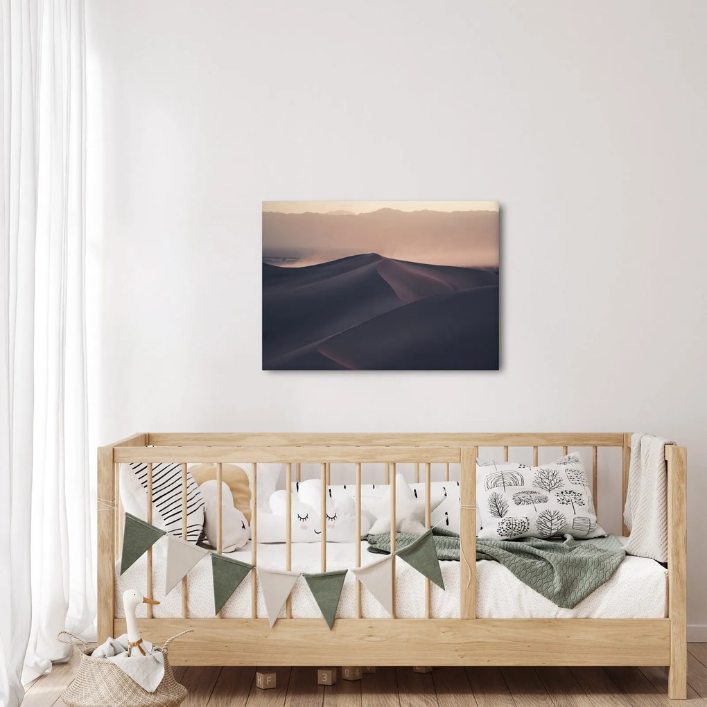 Obraz - Wydmy piaskowe (70x50 cm)