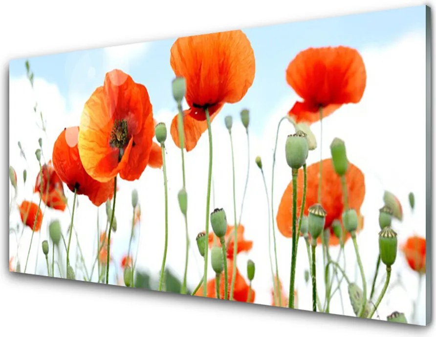 Panel nad blat kuchenny Dzika Łąka Pełna Maków