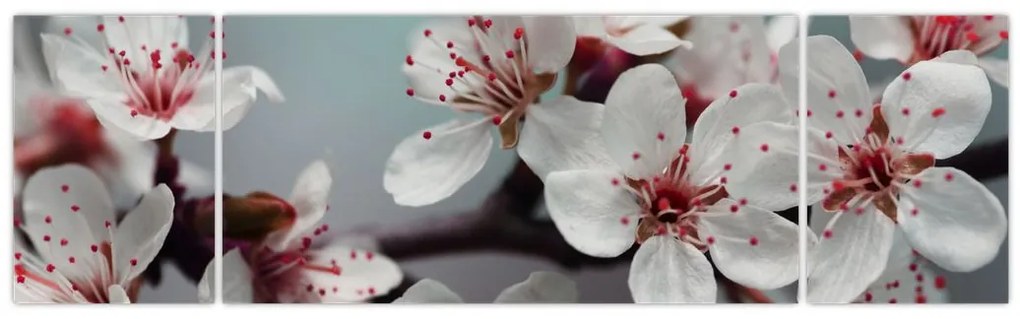 Obraz kwiatu - czerwony (170x50 cm)
