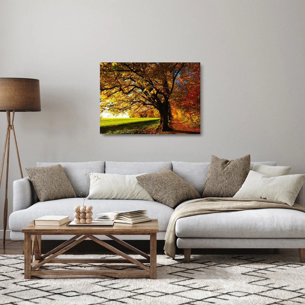 Obraz na szkle - jesień (70x50 cm)