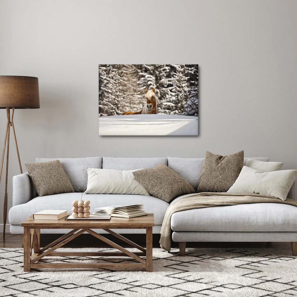 Obraz - Koń w zimowym krajobrazie (70x50 cm)