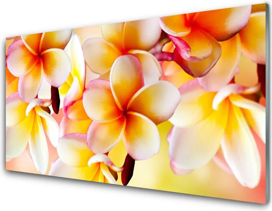 Panel Szklany Klasyczna Elegancja Kwiatów