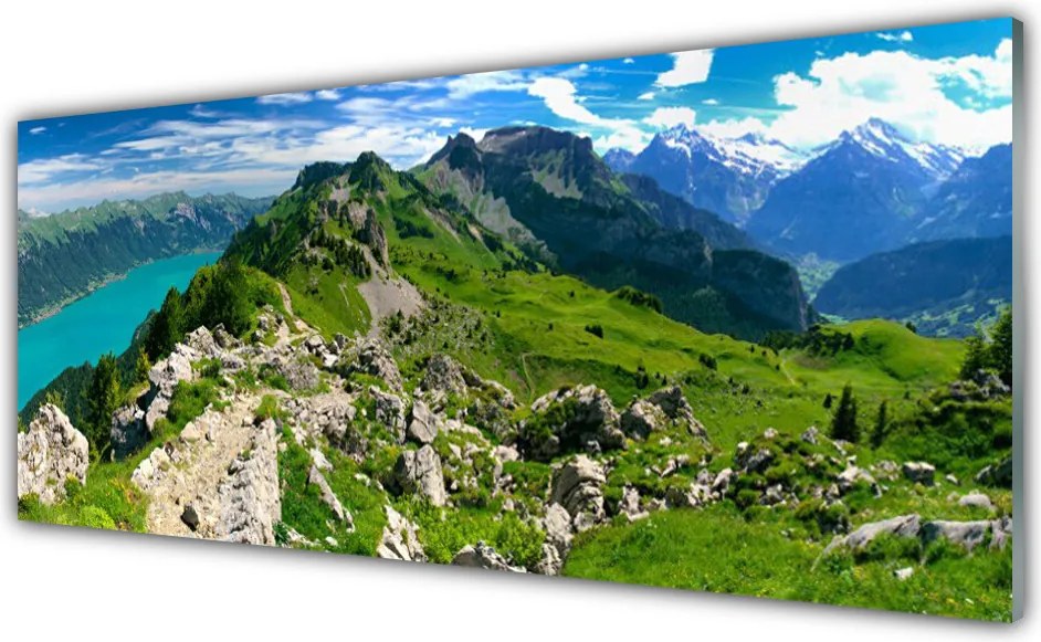 Szkło Ozdobne do Kuchni Górska Polana w Pełnym Słońcu