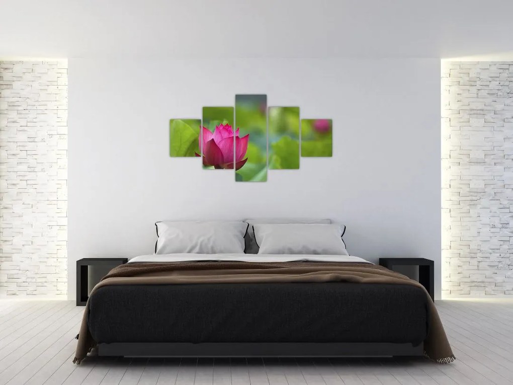 Obraz - roślina wodna (125x70 cm)