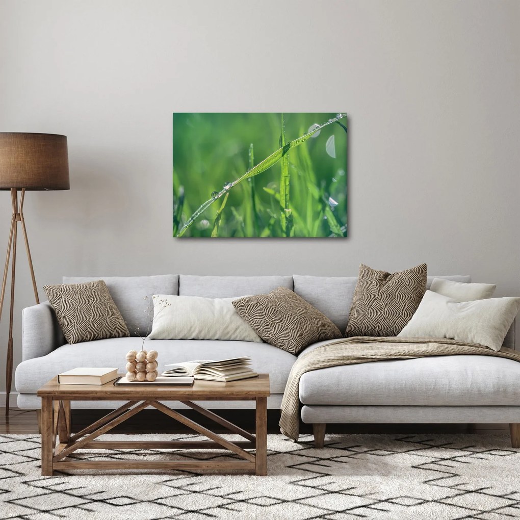 Obraz kropli rosy (70x50 cm)
